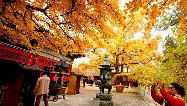 China Outono 2026