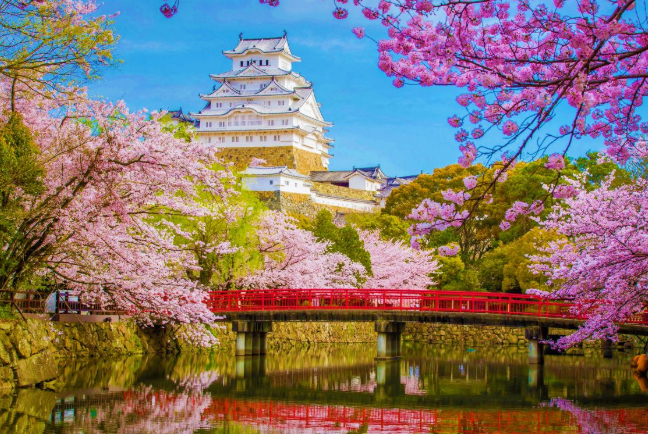 Japão Cerejeiras 2026